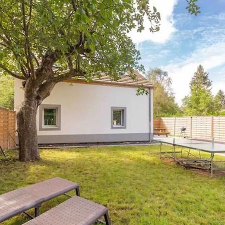 Maison Avec Jardin Clos Et Privatif Proche De Disneyland Et Parc Des Felins Saint-Augustin  외부 사진